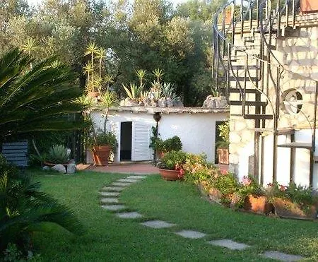 Belvedere